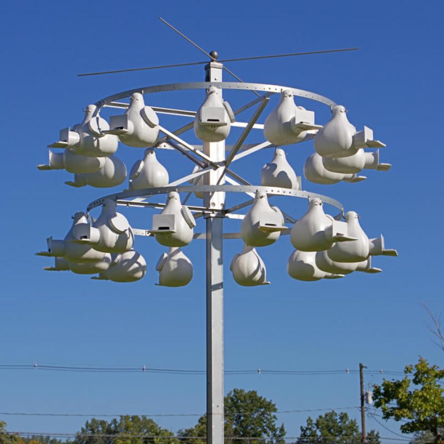 Troyer 24  Gemini Gourd Rack