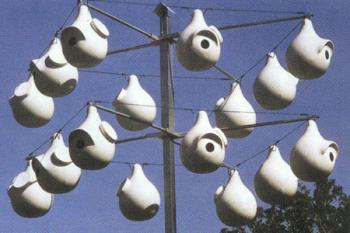 Lonestar Gourd Rack (16 Gourd)