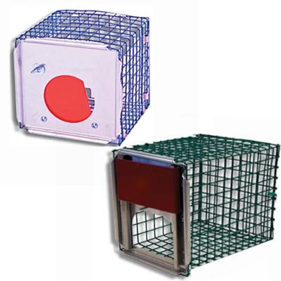 Troyer Universal Sparrow Trap